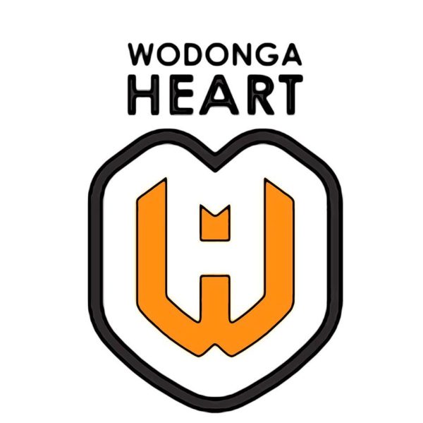 Finals – Albury Wodonga Football Association (AWFA)